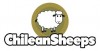 ChileanSheeps