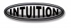 Intuition